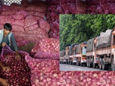 India allows export of onions after three and a half months