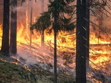 Australia wildfires: 'Mega blaze' may hit parts of the nation on Friday 