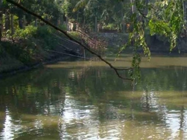 Father, son drown in pond after getting electrocuted by trap set to protect fish in Bogra 