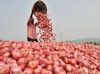 Onion from India to enter Bangladesh today 