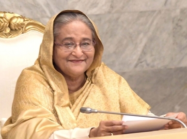 PM Hasina expresses her displeasure over problems in government industry 