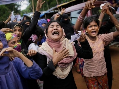 Bangladesh gave 5 lakh dollars to fight Rohingya genocide case