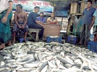 Hilsa ban: Sale, fishing stopped from midnight