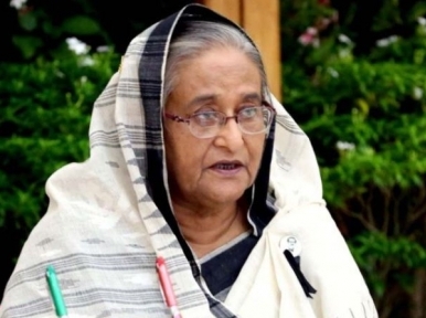 PM Hasina calls for concerted action to prevent the arbitrary use of antibiotics