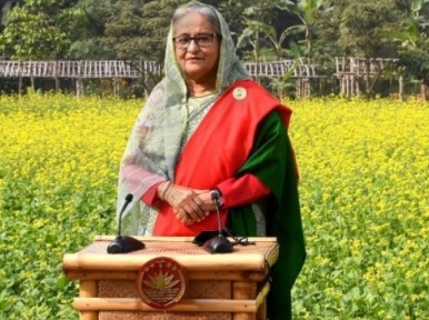 The allies of the defeated trying to confuse Muslims: Prime Minister Hasina