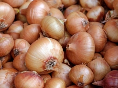 Cost of onion reduces to 50-60