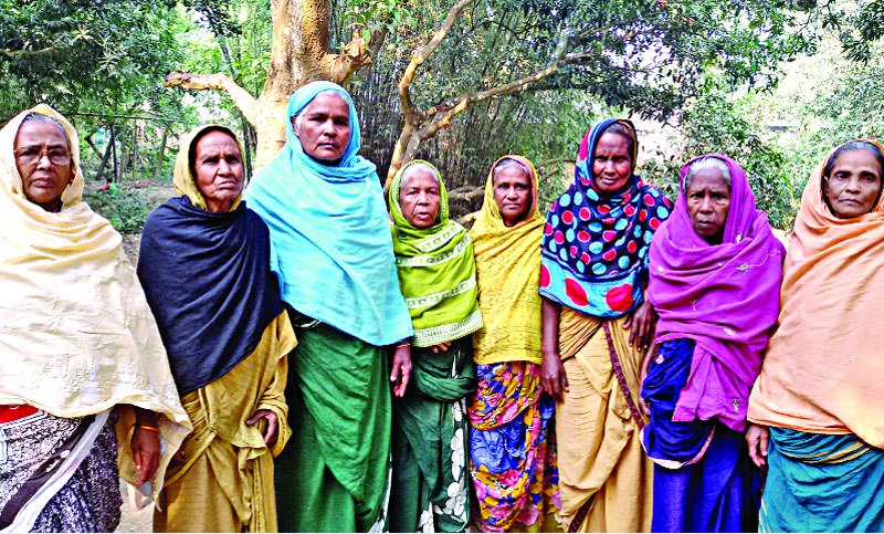 Government asks biranganas for information to include names in gazette Government asks biranganas for information to include names in gazette