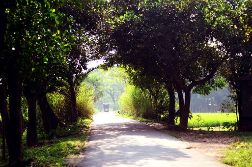 Bangladesh: Create village roads in such a way that heavy vehicles can move, authority directs
