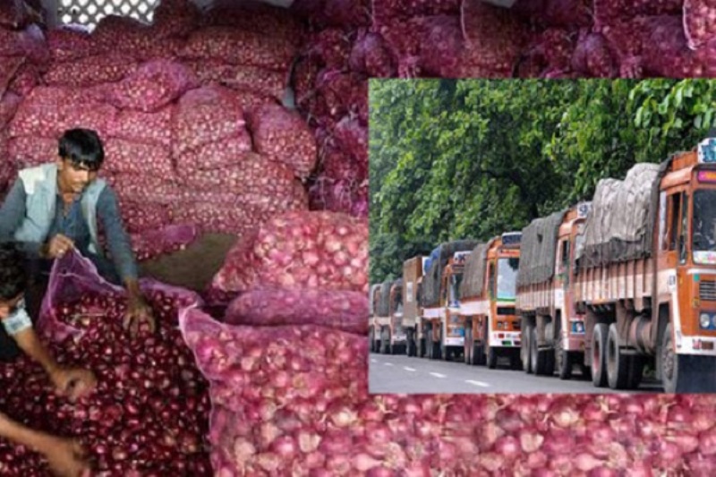 India allows export of onions after three and a half months