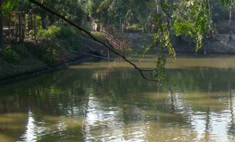 Father, son drown in pond after getting electrocuted by trap set to protect fish in Bogra 