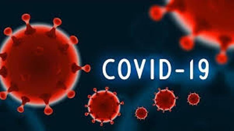 Bangladesh to get Japanese aid to fight COVID-19 