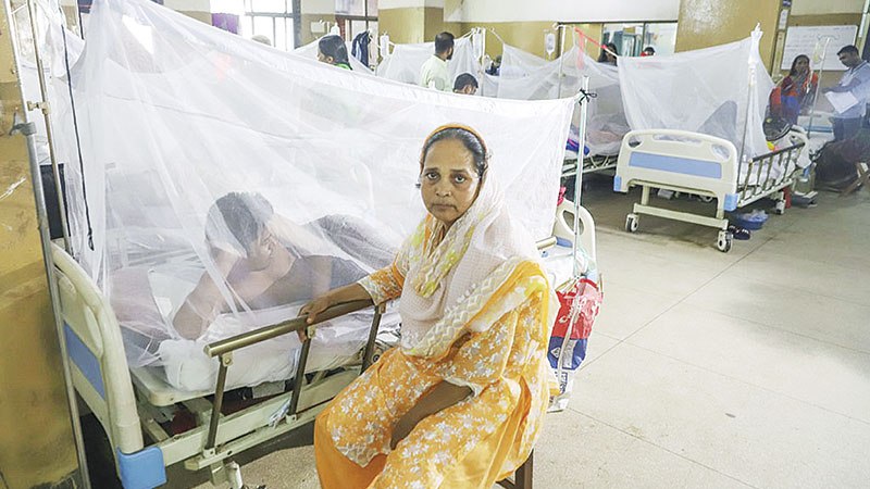 Dengue: At least 66 patients admitted to hospital in August 