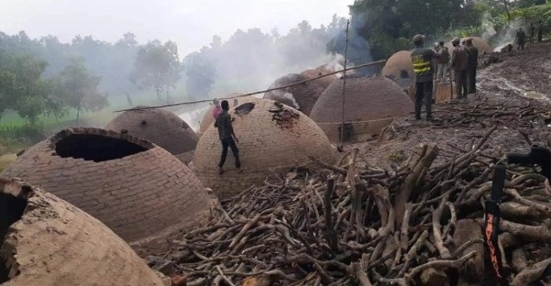 Forest department demolishes 14 kilns in Tangail