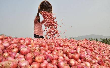 Onion from India to enter Bangladesh today Onion from India to enter Bangladesh today