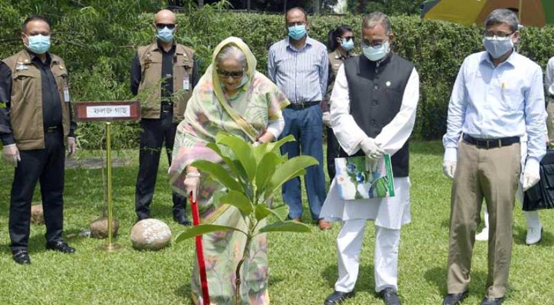 PM Hasina launches tree planting drive