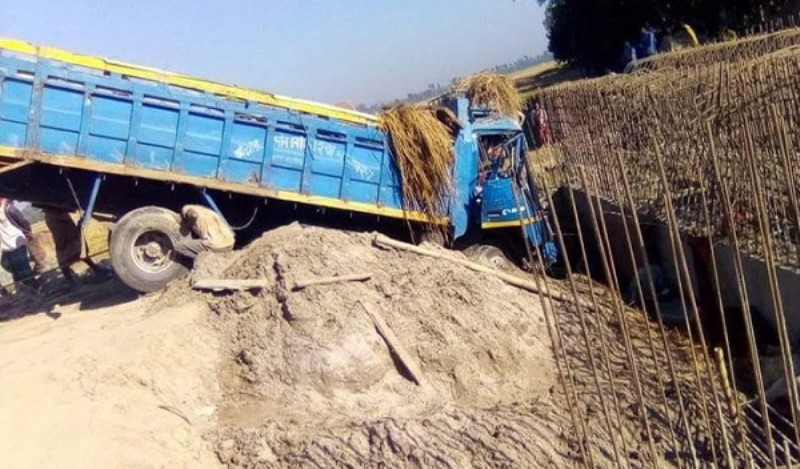 Truck loaded with cattle falls into ditch, kills guard, 13 cows Truck loaded with cattle falls into ditch, kills guard, 13 cows