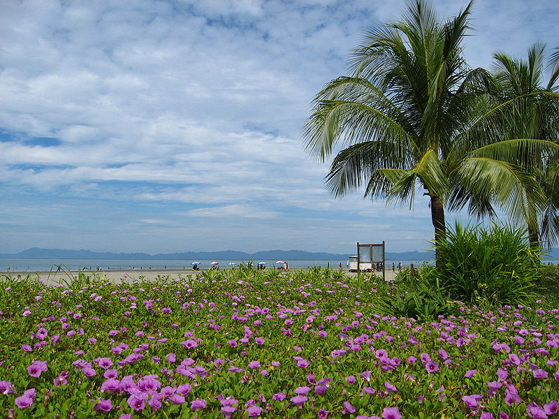 Tourism facilities to be ensured in 800 spots in the country Tourism facilities to be ensured in 800 spots in the country