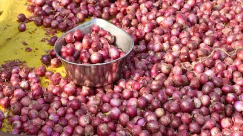 LC for 37,506 metric tons of onion in one day LC for 37,506 metric tons of onion in one day