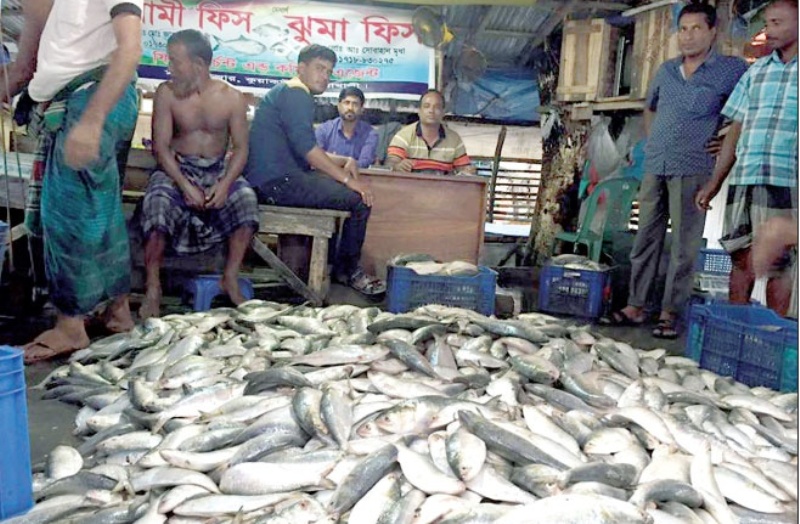 Hilsa ban: Sale, fishing stopped from midnight