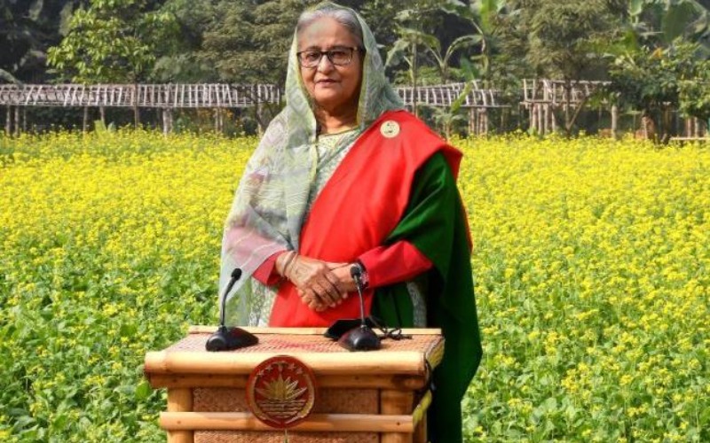 The allies of the defeated trying to confuse Muslims: Prime Minister Hasina