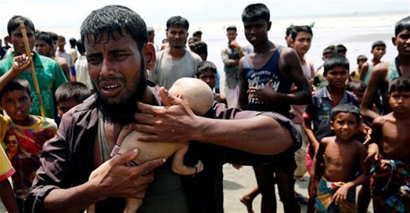 Japan to contact Myanmar for speedy repatriation of Rohingya Japan to contact Myanmar for speedy repatriation of Rohingya