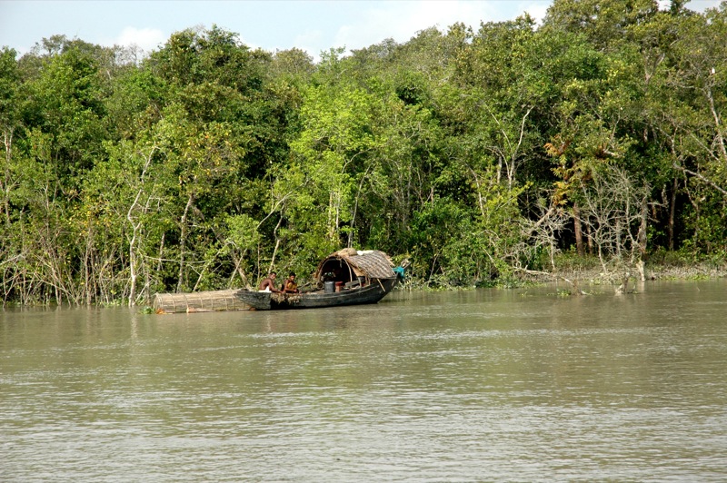 Cyclone Yaas: The Sundarbans could be a protective wall again