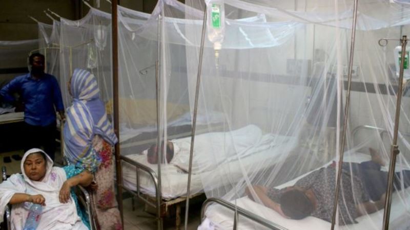 Country's dengue cases witnessing 60 fold jump