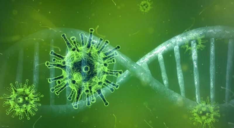 China: Wuhan lab created '10,000-times stronger than usual’ coronavirus strains, says scientist China: Wuhan lab created '10,000-times stronger than usual’ coronavirus strains, says scientist