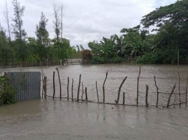 7 thousand fish cages have been washed away in Khulna, loss of Tk 8.5 crore reported