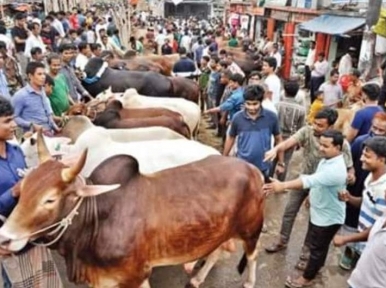Gabtoli cattle market: DNCC Mayor Atiq fines Tk 10 lakh for flouting Covid-19 health guidelines