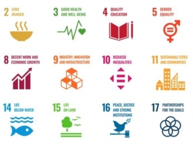 Bangladesh in top three in implementation of SDGs
