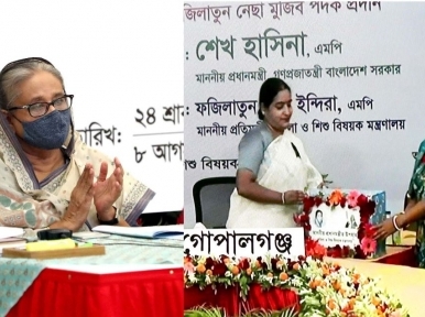 Bangamata's inputs helped Bangabandhu take timely political decisions: PM Hasina