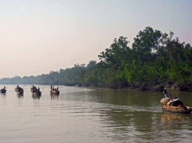Bangladesh observing third anniversary of the bandit-free Sundarbans