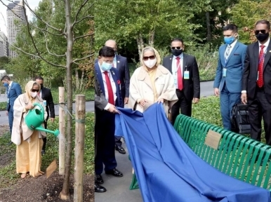 PM Hasina plants tree, dedicates bench at UN North Lawn garden to mark Mujib Borsho