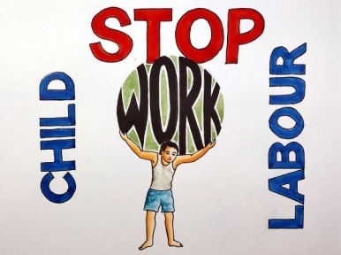 Government declares six sectors as child labour free