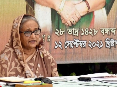 PM Hasina urges citizens to save electricity