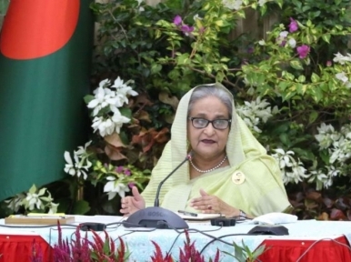 Bengalis tend to forget everything quickly: PM Hasina