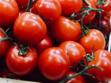 Bangladesh exporting tomato ketchup to 60 countries