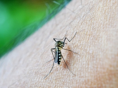 Country registers another 170 dengue cases on Friday