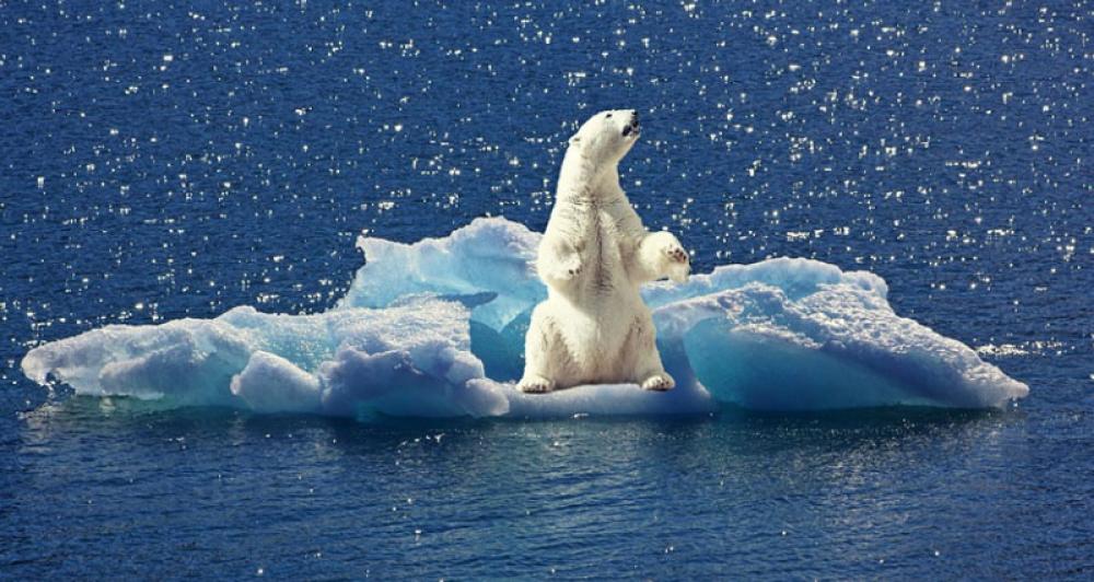 July marked the hottest month ever recorded: NOAA July marked the hottest month ever recorded: NOAA