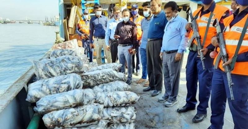 Various initiatives to increase the production of Hilsa