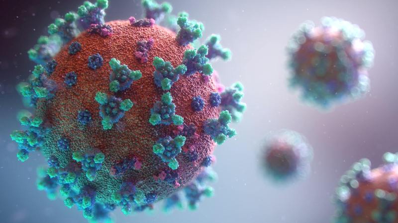 Coronavirus: Two die in a day, infection rate stands at 1.17 percent