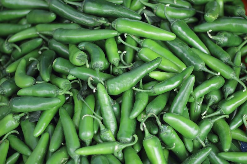 Consumers worried as chillies, hilsa become expensive, rice set to follow trend Consumers worried as chillies, hilsa become expensive, rice set to follow trend