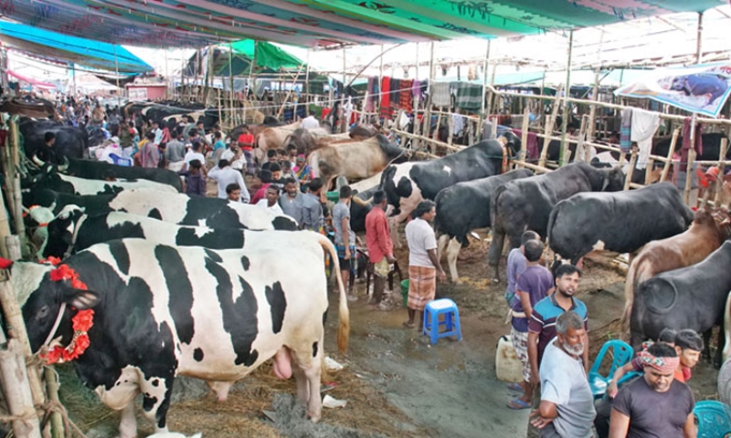 Govt. mulling online trading of cattle ahead of Eid