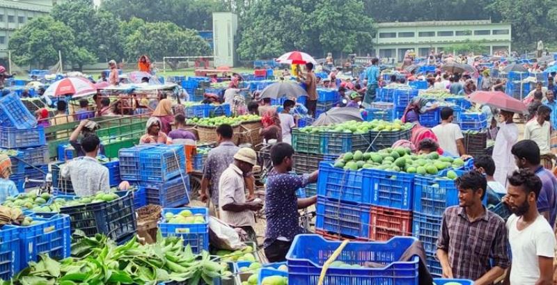 Surplus mangoes, no buyers in Baneshwar