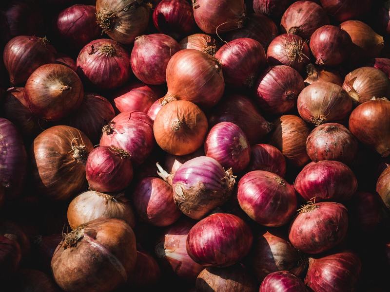 8,100 metric tons of onions imported from Myanmar