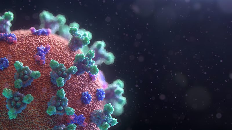 Covid-19: 185 die, 8,772 people test positive in the last 24 hours Covid-19: 185 die, 8,772 people test positive in the last 24 hours