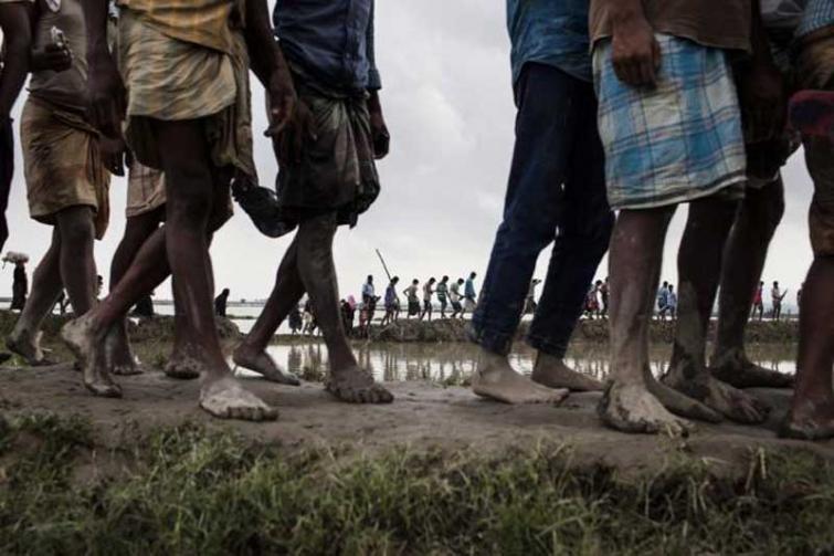 More Rohingyas escaping Myanmar, arriving in Bangladesh