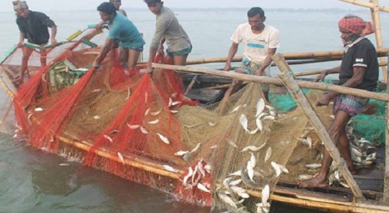 Ban of Hilsa fishing to be lifted from midnight Ban of Hilsa fishing to be lifted from midnight