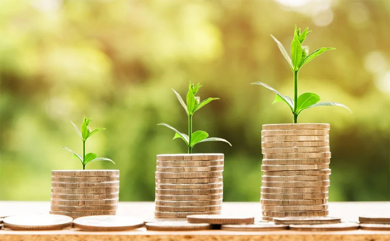 Export income record Export income record